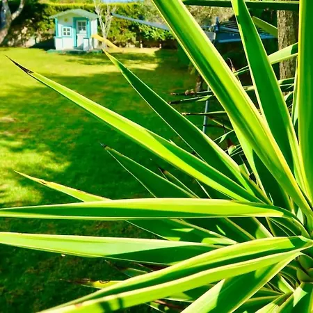 Szálloda La Buganvilla - Heating - Large Private Garden - Free Parking - Fast Wifi *