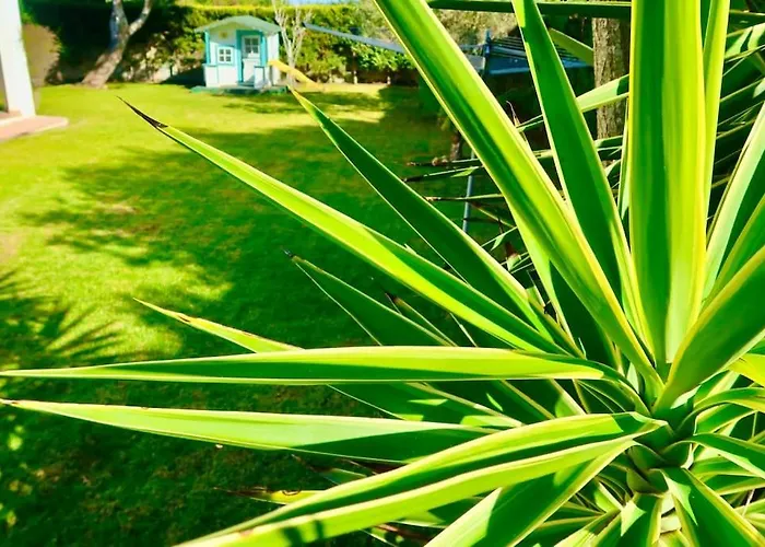 Hotel La Buganvilla - Heating - Large Private Garden - Free Parking - Fast Wifi *